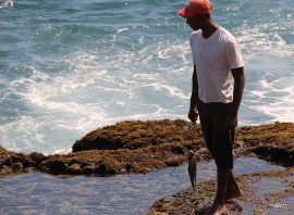 sights... sounds... smells...all GOOD!