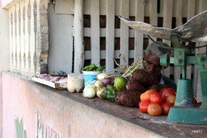 sights... sounds... smells... the city SCENE