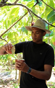 tastes... and it was very TASTY!