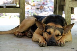 sights... NATURAL Beauty...