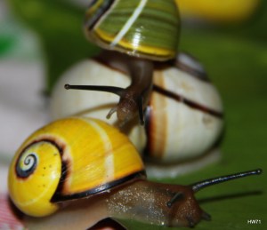 sights... NATURAL Beauty...