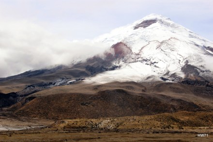 sights... NATURAL Beauty...