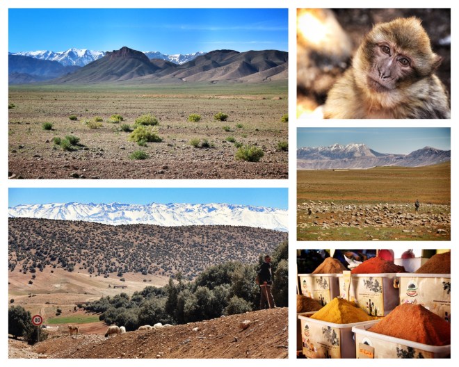 Drive through the Middle and High Atlas Mountains in Morocco