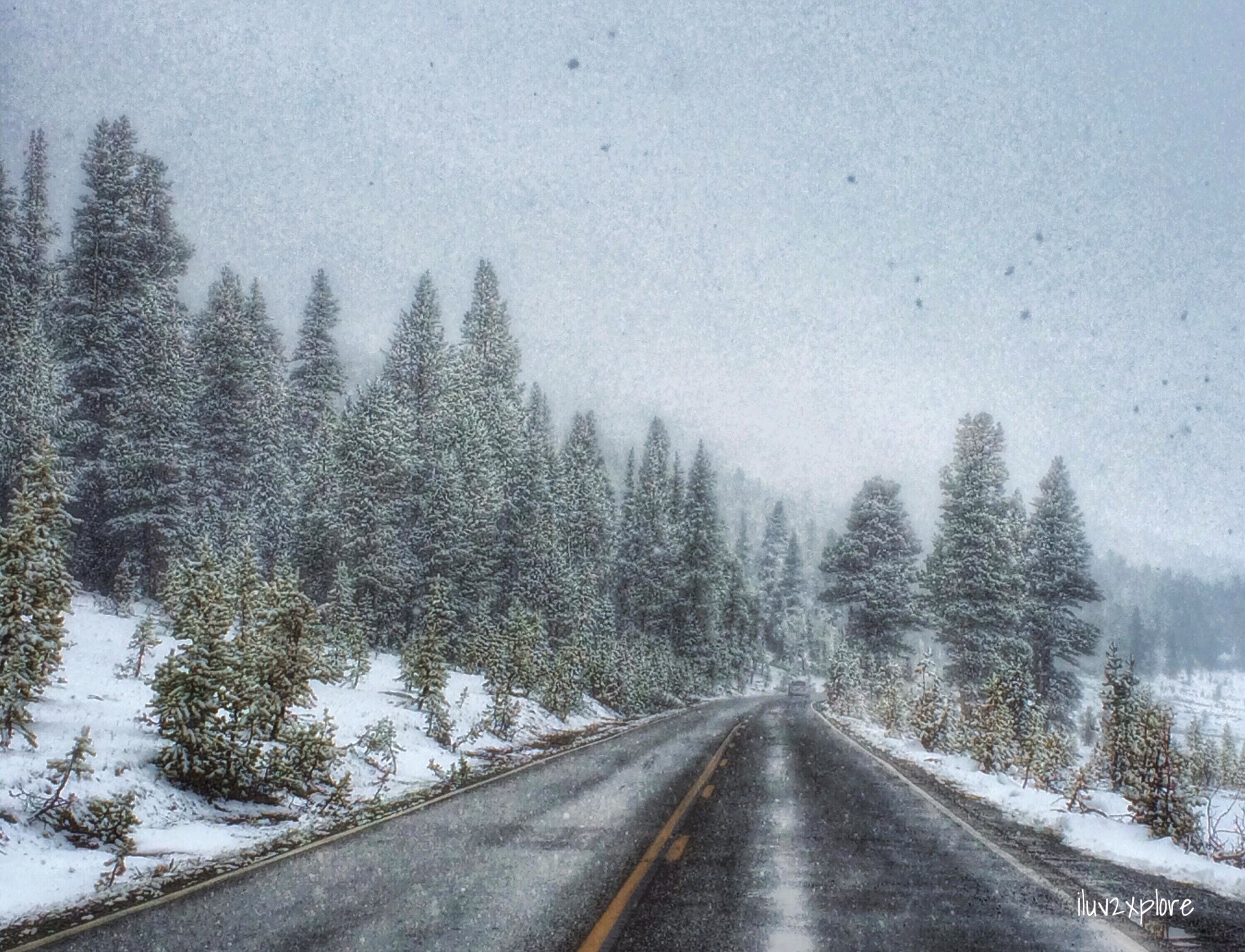 5PM PST: Highway120 (Tioga) just past Tuolumne Meadows in Yosemite National Park.