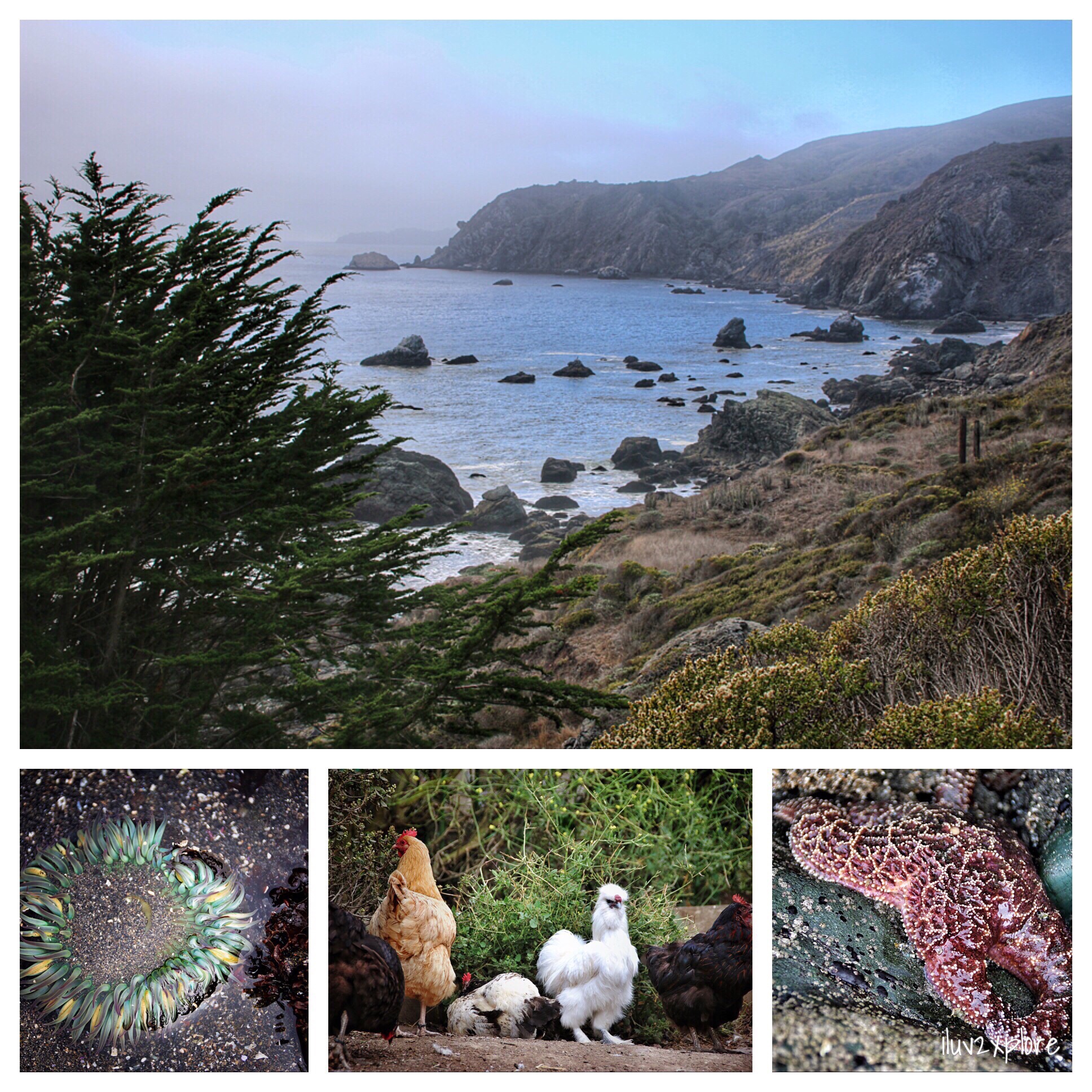 2015-Sept-27: One of many happy moments spending the day with friends wandering the countless Mount Tam trails